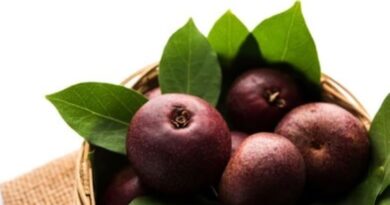 Kokum: Benefits, Side-effects and Uses